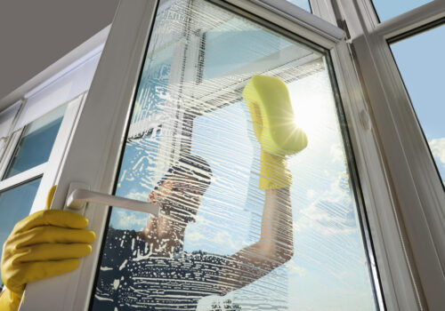 Window Washing