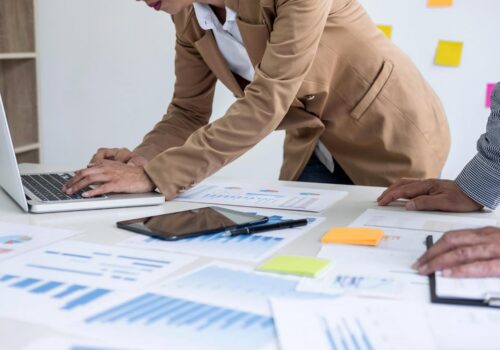 Project Manager