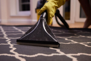 Carpet cleaning services